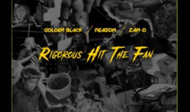 What Fans Thought Of Reasons 'Rigorous Hit The Fan' Remix