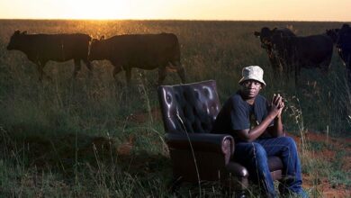 Mo Molemo Temporarily Shuts Down After Thieves Target Farming Business